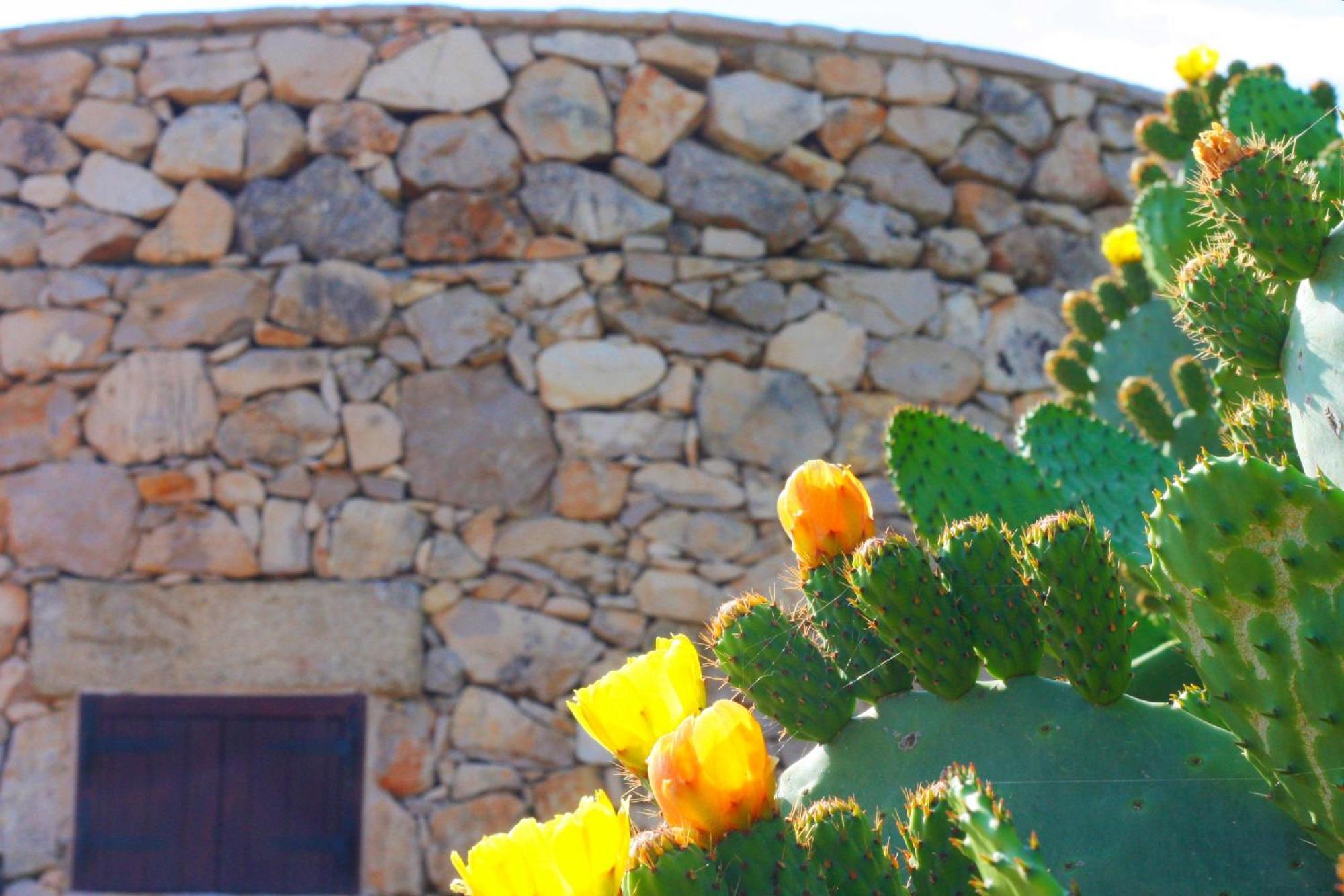Ferienwohnung Trullo Macchie Marina di Mancaversa Exterior foto